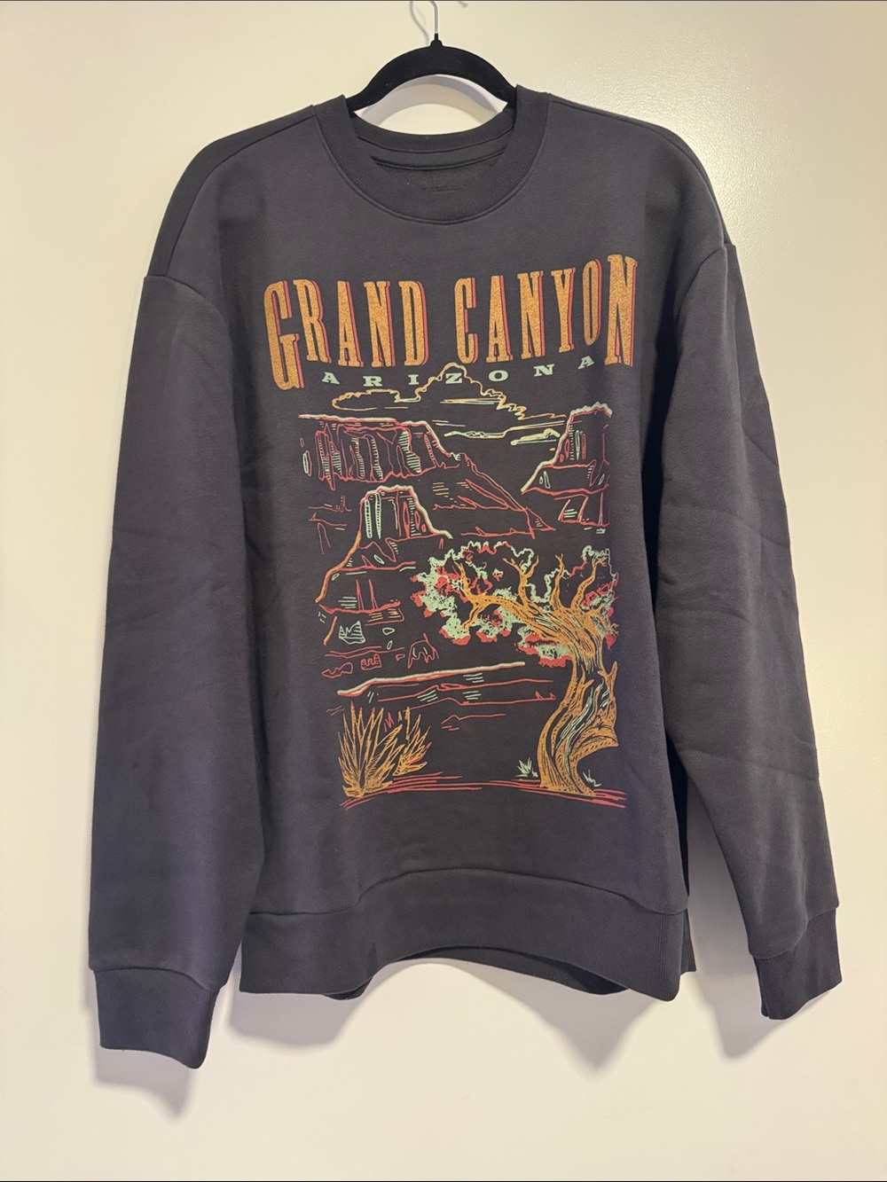 Hollister Men’s Grand Canyon Arizona Graphic Sweatshirt - Charcoal Gray